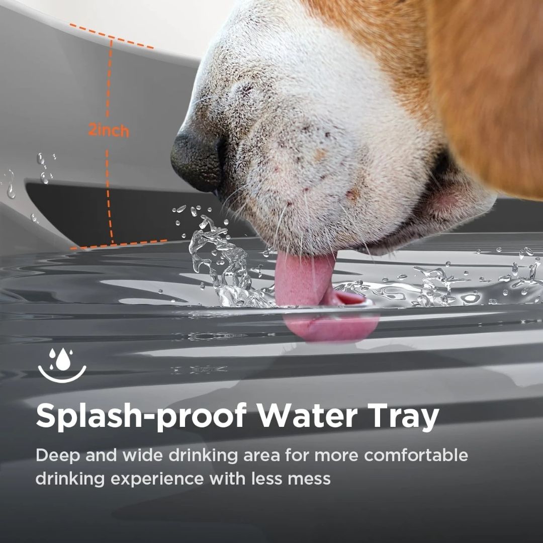 PurePaws™ ClearBlue Fountain